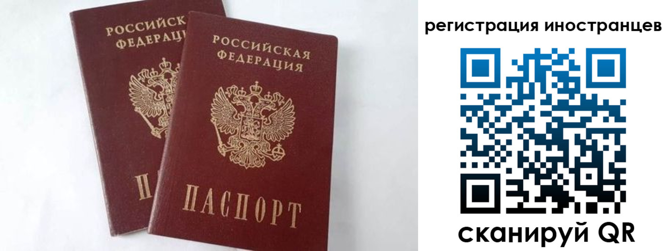 регистрация для школы в Зеленоградске
